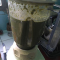 El cooksnap de Lilyan Hernàndez cuando hizo Fainá de acelga, perejil y semillas de girasol.