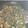El cooksnap de Mnk Os Rv cuando hizo Ternera con Champiñones y espárragos trigueros.