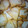 El cooksnap de Andrea Golbert cuando hizo Torta fritas facilísima 😊.