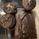 Cooksnap από Nikol_choko στη συνταγή Chocolate Banana Bread