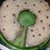 Cooksnap dari Nisa Dwi Safitri untuk resep Bolu pisang panggang
