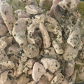 La cooksnap de Ana Pernas cuando cocinó Pollo al pesto con champiñones y queso crema