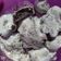 Cooksnap dari Herlina Raditya untuk resep Putri Salju Oreo