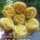 Cooksnap dari Icha Jeyyeq untuk resep Bolu Jagung Sehat (tanpa oven, tanpa pengembang/emulsifier)
