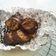 Cooksnap dari Nurul Fathimah untuk resep Terong Kukus Bawang