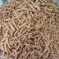 Cooksnap dari ida sriyani untuk resep Cheddar cheese stick / Sistik keju