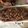 Cooksnap dari mamaibu cantik untuk resep Cookies Coklat Oatmeal Kacang