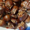 Cooksnap από Barbie Darbie στη συνταγή Bon automne à toute la compagnie avec des châtaignes fraîches.(Καλό φθινόπωρο σε όλη την παρέα.)