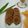 Cooksnap dari Nauzaery Setyo untuk resep Kue Cucur