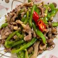 Mia Shen 的 青椒炒肉絲 cooksnap