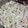 Saba Butt's cooksnap of when they made Egg fried rice 🇨🇳🇨🇳.