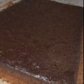 El cooksnap de Danerys Rojas cuando hizo Brownies con cacao en polvo!.