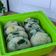 Cooksnap dari Khadijah F Mangolo untuk resep Meal Prep : Perkedel Kentang | Frozen Food