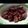 Cooksnap dari yuland nurfaz untuk resep Ayam kecap