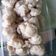 Cooksnap dari TalkingSirius untuk resep Bakso Tempe Bakar