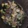 Cooksnap dari Dhani Putu Kusuma untuk resep Tumis baby corn mix daging giling