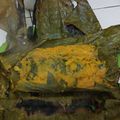 Cooksnap dari Igha Nurmayanti untuk resep Pepes pindang salem