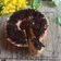 Cooksnap dari Oliveia Faizin untuk resep Bolu pisang mesess