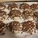 El cooksnap de diego Duran cuando hizo SÚPER ALFAJORES DE CHOCOLATE ❤️.