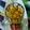 Abha Agam Singh's cooksnap of when they made Mango cashew milk shake.