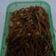 Cooksnap dari Ummu maulida fatimah umar' untuk resep Mie yamin manis