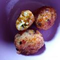 Cooksnap dari Faufau untuk resep Bola-bola nasi udang (MPASI 9 Bulan)