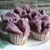 Cooksnap dari Tia Retnowulan untuk resep Bolu Kukus Ubi Ungu (No Soda)