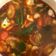 Cooksnap Fox Gaming semasa beliau membuat Tom Yam Seafood Padudu 🦐🥕.