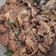 Cooksnap dari Itaa untuk resep Thai Beef Basil