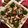Layla (lulu)'s cooksnap of when they made Squash dip.