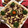 Layla (lulu)'s cooksnap of when they made Squash dip.