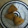 Cooksnap dari Eja Ali untuk resep Nugget pisang ambon