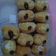 Cooksnap dari cucuk candra untuk resep KSB donuts empuk,ekonomis 1x profing