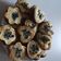 Cooksnap dari kiaumi tatum untuk resep Kue Pukis Lumer