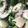 Queen Bilikisu Tijjani's cooksnap of when they made Cucumber salad.