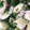 Queen Bilikisu Tijjani's cooksnap of when they made Cucumber salad.