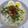 Cooksnap dari Arif Airlangga Putra untuk resep Mie Koclok Cirebon 🍜