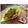 Anamika Banerjee's cooksnap of when they made Fish curry.