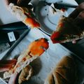 Cooksnap dari Anggi Lestiara untuk resep Calzone (Pizza Lipat)