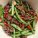 Cooksnap dari Rizki Marfira untuk resep Tumis Buncis Daging Cincang