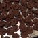 Cooksnap dari Rika's Kitchen untuk resep Goodtime Cookies Choco Chips