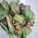 Cooksnap dari Gracia May untuk resep Thai Pandan-Wrapped Chicken aka Ayam Goreng Pandan Thailand