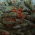 Cooksnap dari Bilqis Aisya Nuri untuk resep Ceker pedas 👅