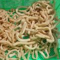 Cooksnap dari Rahayu Dewi untuk resep Cheese Stick Renyah