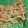Cooksnap dari Rahayu Dewi untuk resep Cheese Stick Renyah