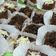 Cooksnap dari Nina Nurmiaty untuk resep Cake coklat kukus 