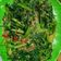 Cooksnap dari Hanny Theresia untuk resep Tumis Kangkung Terasi Bumbu Uleg (Dijamin Kayak Di Resto)