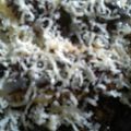Cooksnap dari Sevti Wijaya untuk resep Pisang Karamel SKM