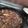 El cooksnap de Marcelo Alejandro Plaza Herbas cuando hizo Revuelto con carne molida.
