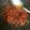 Cooksnap dari Tata Tata untuk resep Sambel bawang